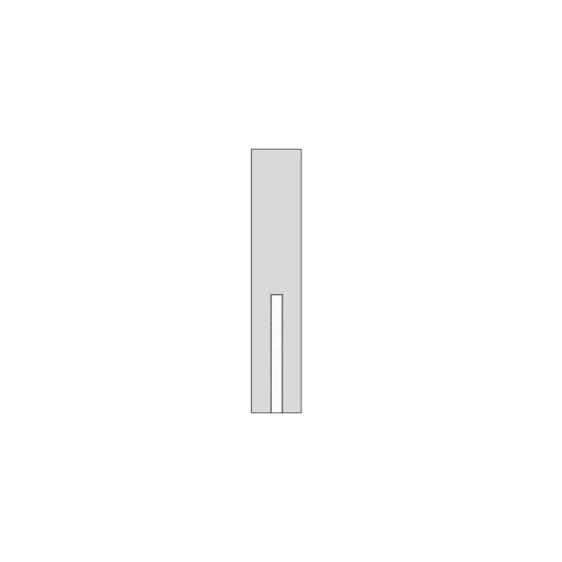 C101C