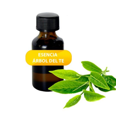 Aceite Esencial Árbol de Té 100 ml