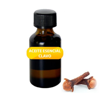 Aceite Esencial Clavo