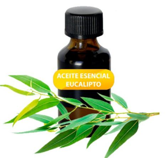 Aceite Esencial Eucalipto